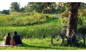 Win a Getaway for Two Curteousy of CAA