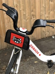 Canadiana Bike - Raccoon basket