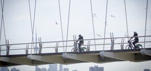 Lakefront Cycles with Bike Share Toronto