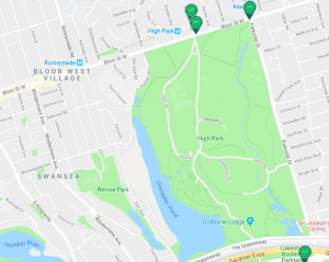 Fall riding in High Park