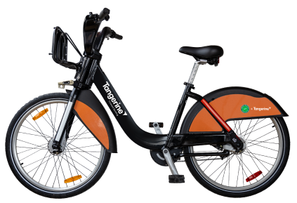 206A0167_Clipped 1-1 - Copy